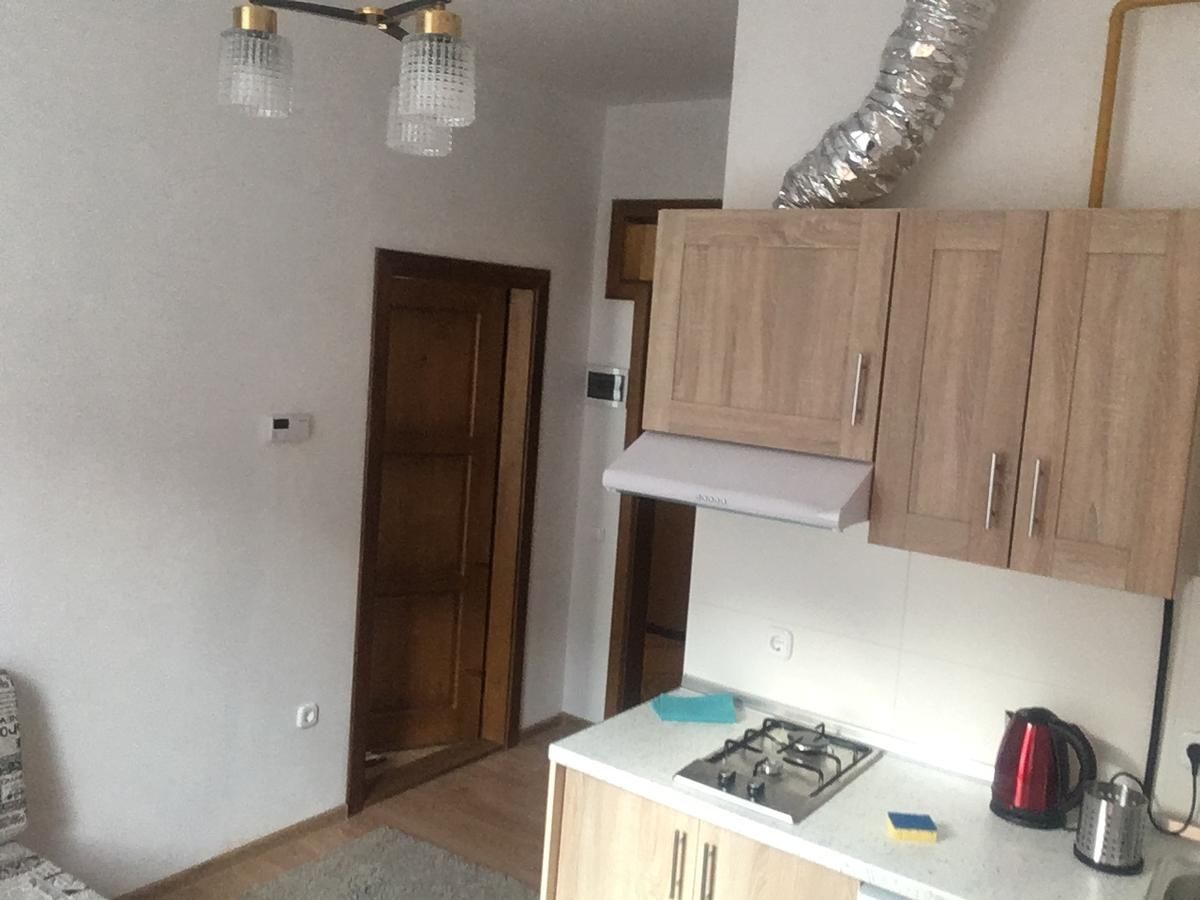 Апарт-отели Apartaments in Karpaty Межгорье-19