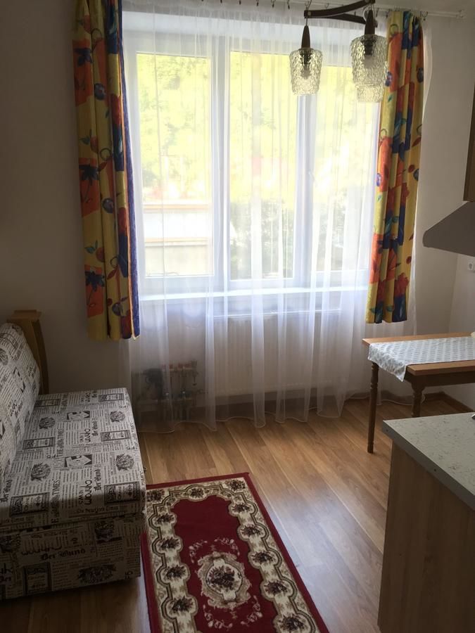 Апарт-отели Apartaments in Karpaty Межгорье-12